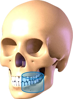 CBCT D50