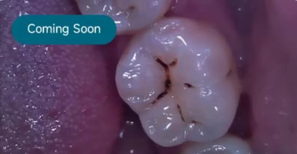 Software Dentário Dental X